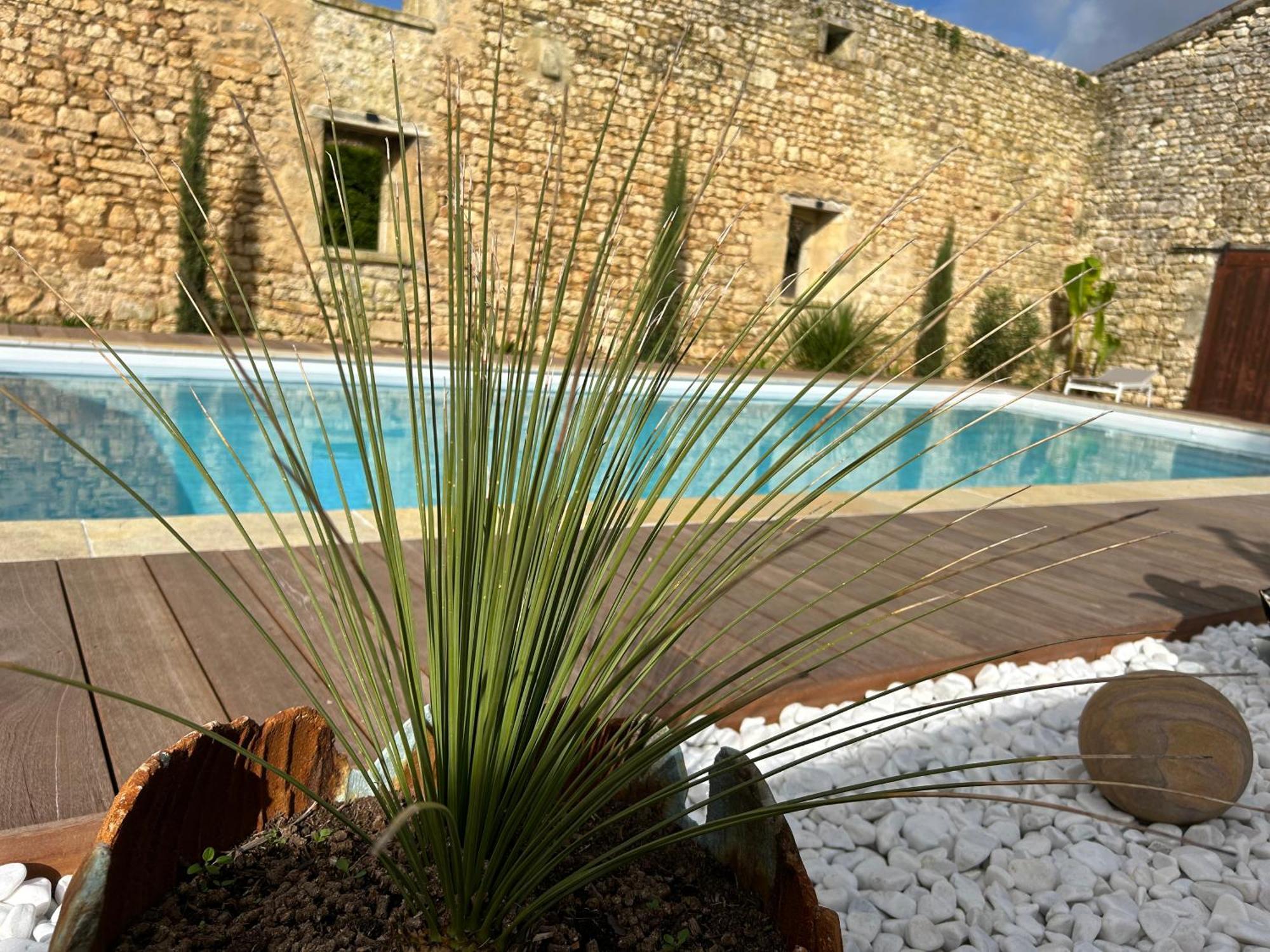 Domaine De La Gemoliere Bed & Breakfast Gémozac Екстериор снимка